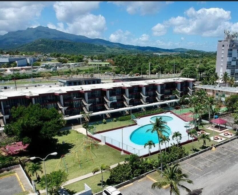 Relaxing Studio Near El Yunque With Pool View Luquillo Bagian luar foto
